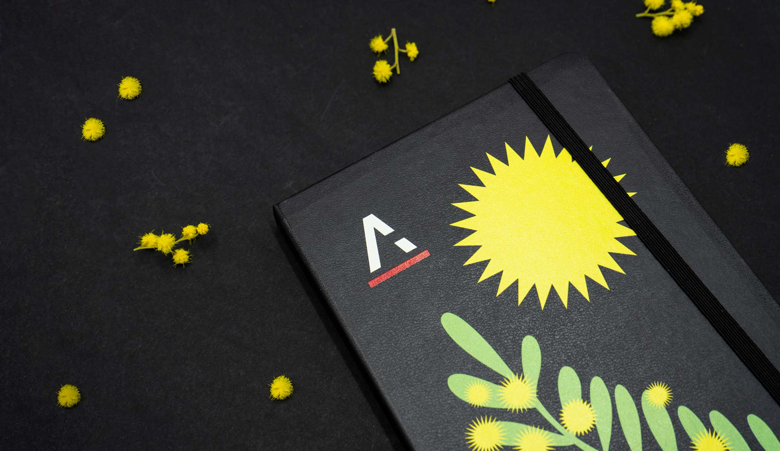 moleskine
